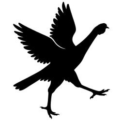 Giant Chicks Farm Logo for Indio Gigante Chickens Breeding Program Chicks and Hatching Eggs